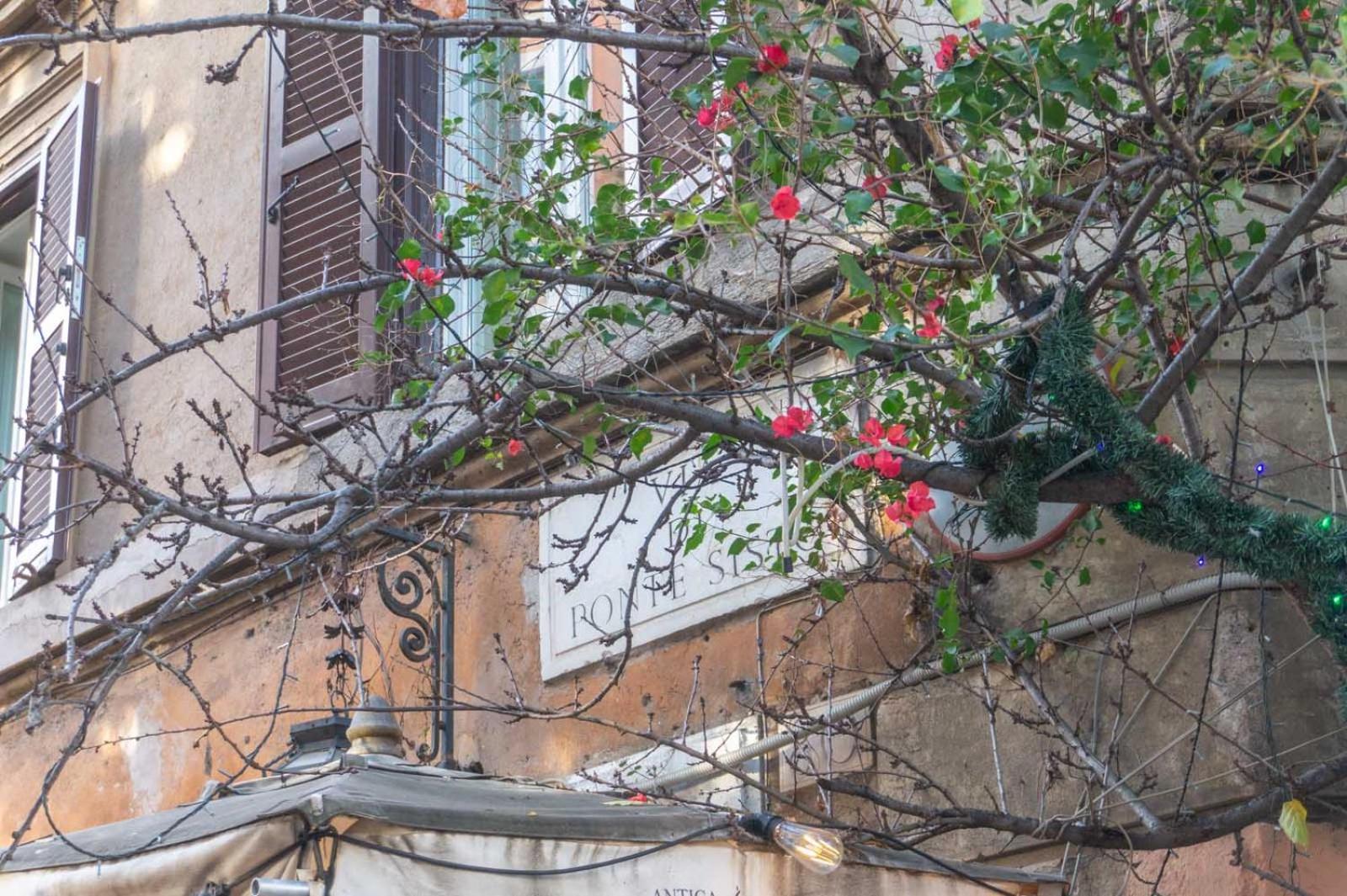 Lusso E Panorama Senza Paragoni, Loft Trastevere Rom Exterior foto